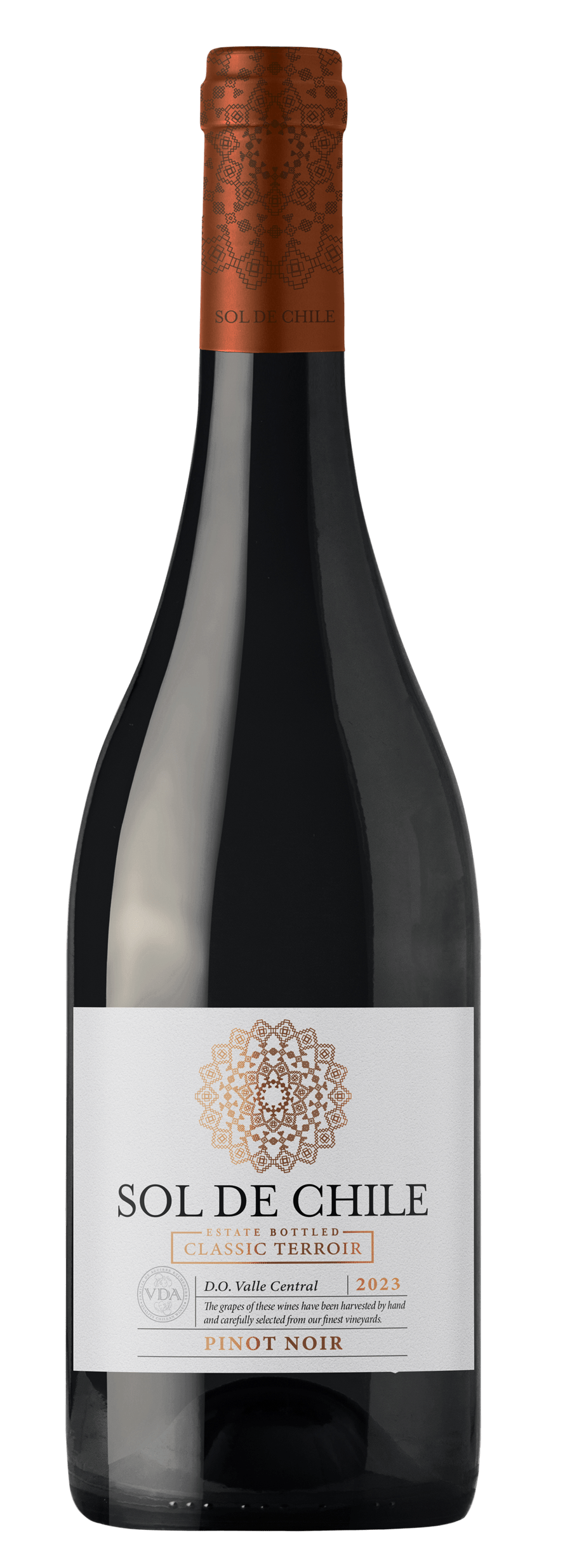 陽光智利精選黑皮諾紅葡萄酒  2023